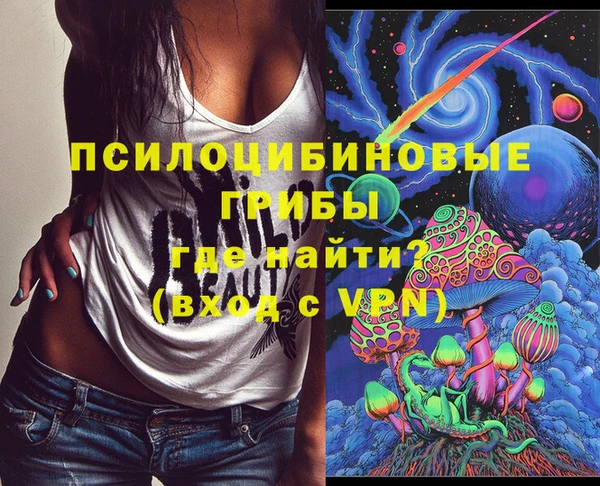 гидра Снежинск