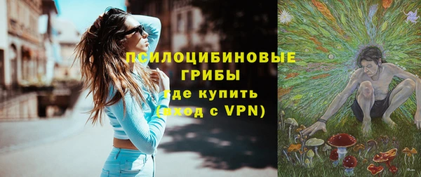 гидра Снежинск