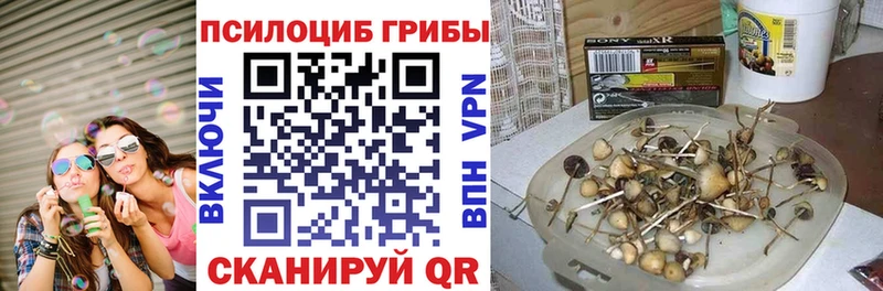 hydra   Советск  Галлюциногенные грибы MAGIC MUSHROOMS 